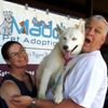Records Smashed at Maddie's Pet Adoption Days!